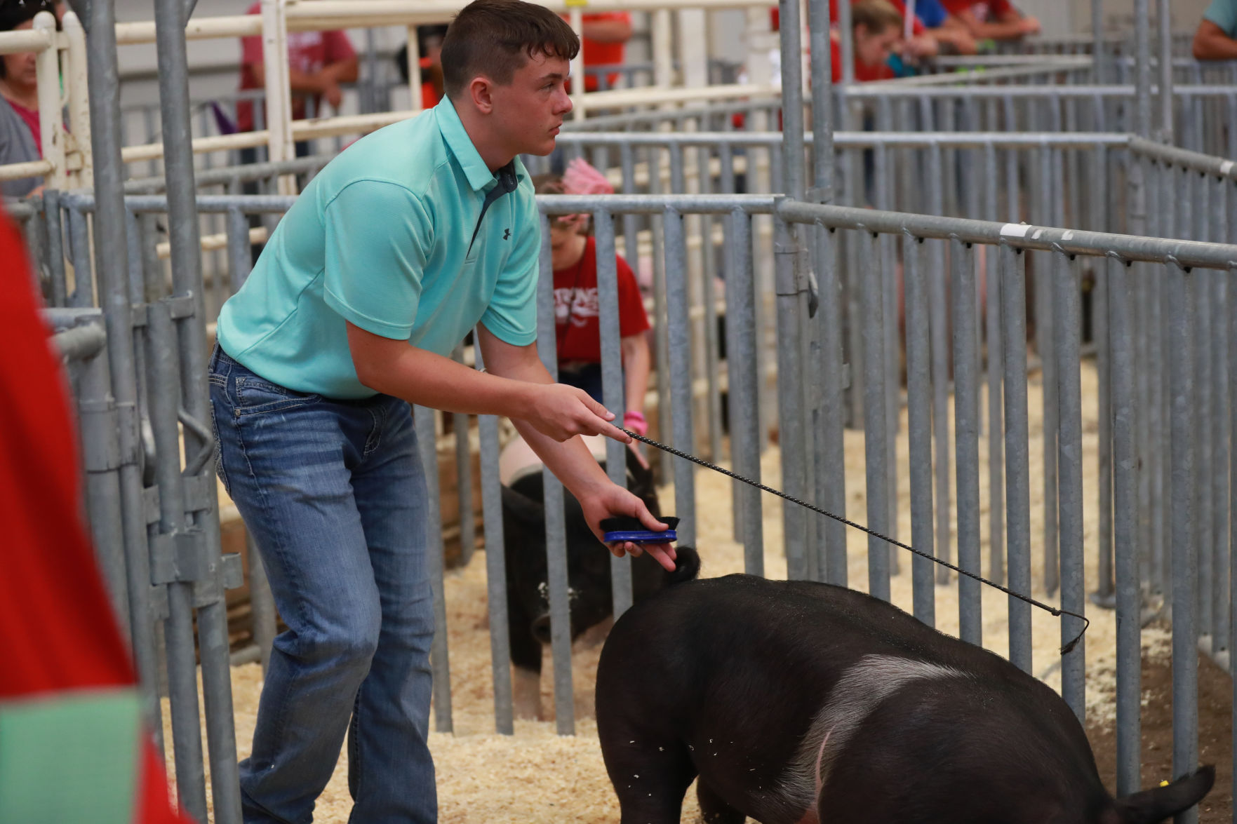 071119_HallCoFair20_bjs.JPG